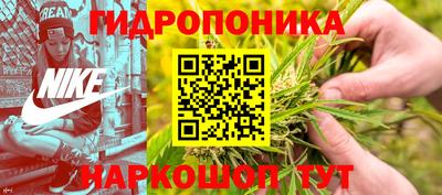 гидра Комсомольск-на-Амуре